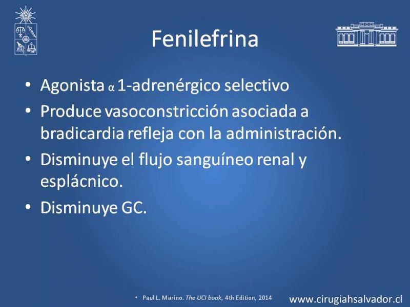 Diapositiva 10 de Drogas vasoactivas