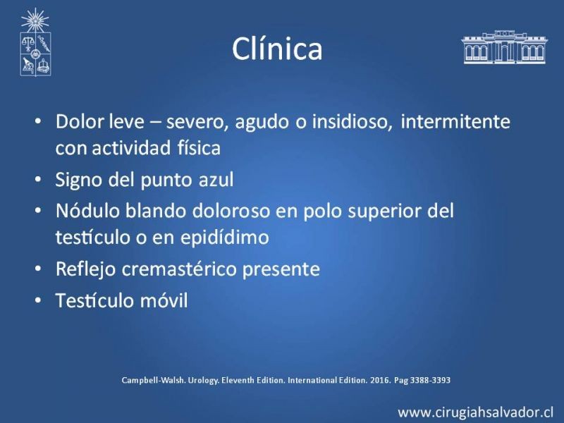 Diapositiva 20 de Manejo de Escroto Agudo