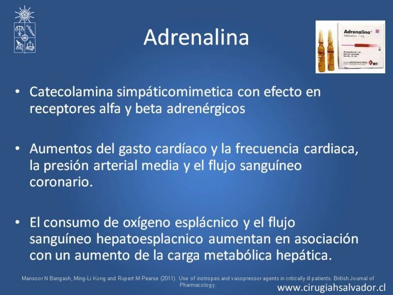 Diapositiva 6 de Drogas vasoactivas