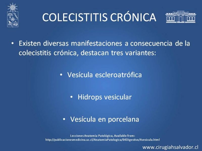 Diapositiva 21 de Vesícula Escleroatrófica