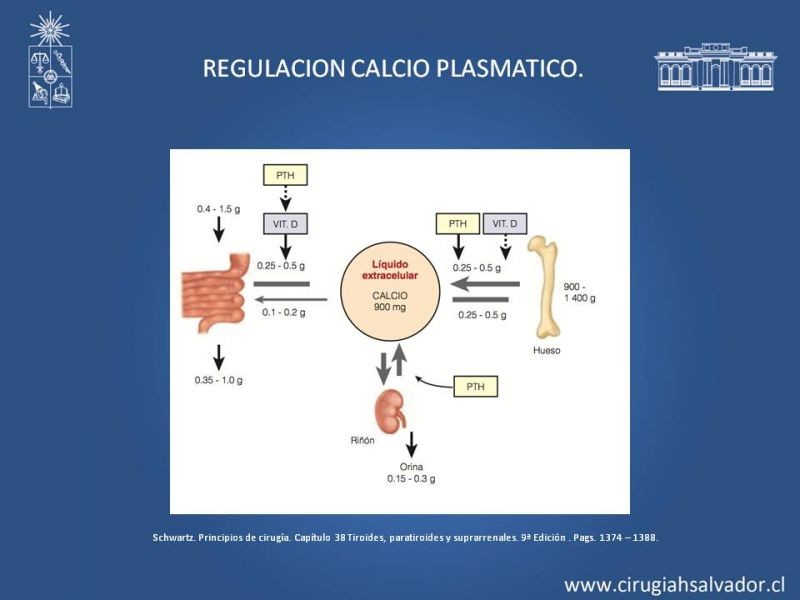 Diapositiva 5 de Hiperparatiroidismo 2º: Estudio, manejo e indicaciones quirúrgicas.