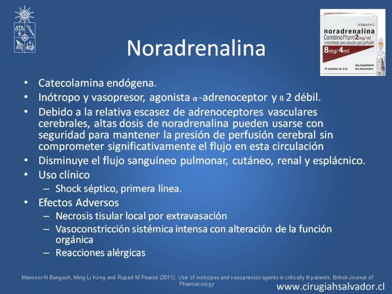 Diapositiva 11 de Drogas vasoactivas