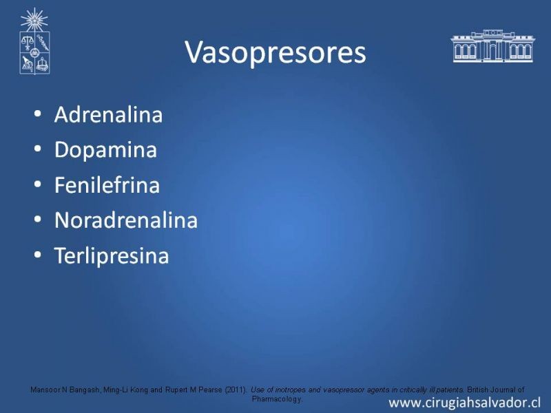 Diapositiva 5 de Drogas vasoactivas
