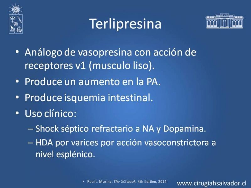Diapositiva 14 de Drogas vasoactivas