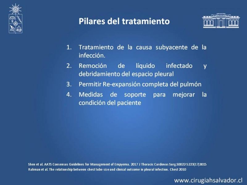 Diapositiva 12 de Empiema