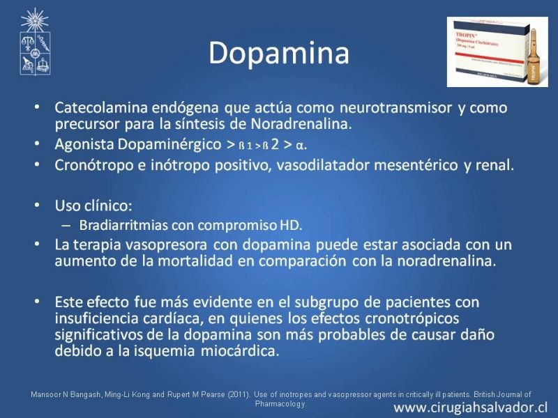 Diapositiva 8 de Drogas vasoactivas