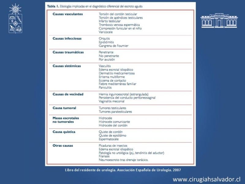 Diapositiva 3 de Manejo de Escroto Agudo