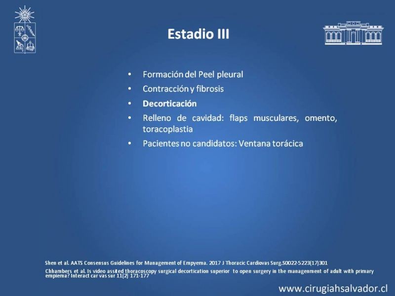 Diapositiva 18 de Empiema