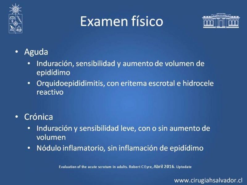 Diapositiva 24 de Manejo de Escroto Agudo