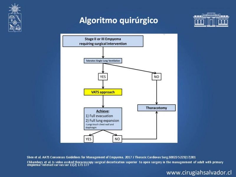Diapositiva 17 de Empiema