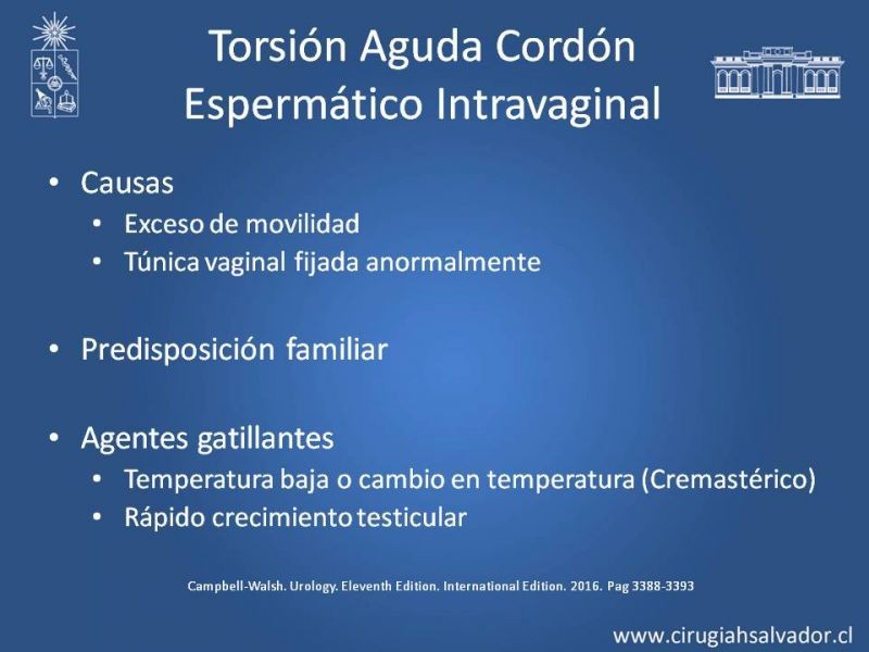 Diapositiva 7 de Manejo de Escroto Agudo