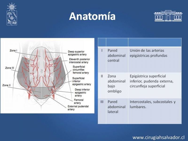 Diapositiva 5 de Lipectomía Abdominal