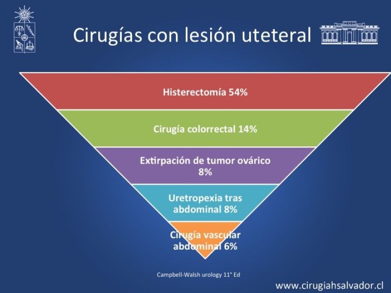 Diapositiva 2 de Lesiones iatrogénicas del sistema urinario en la cirugía colorrectal