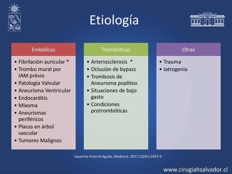 Diapositiva 4 de Isquemia aguda de extremidades inferiores