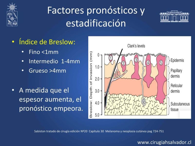 Diapositiva 16 de Melanoma: enfrentamiento inicial