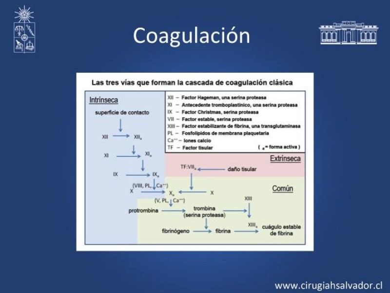 Diapositiva 1 de Anticoagulantes Tradicionales y nuevos