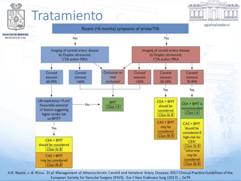 Diapositiva 19 de Enfermedad carotídea sintomática