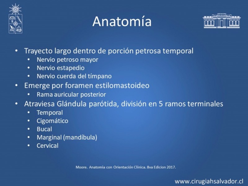 Diapositiva 6 de Reanimación Facial