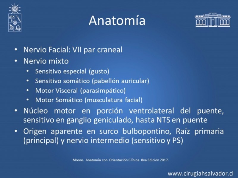 Diapositiva 5 de Reanimación Facial