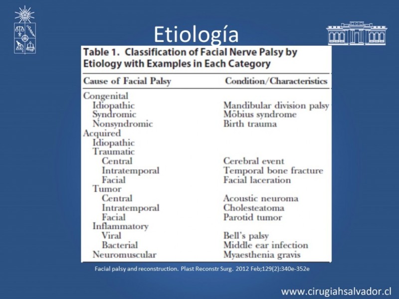 Diapositiva 4 de Reanimación Facial