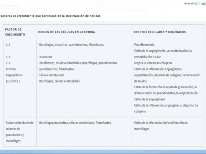 Diapositiva 10 de Cicatrización normal y patológica