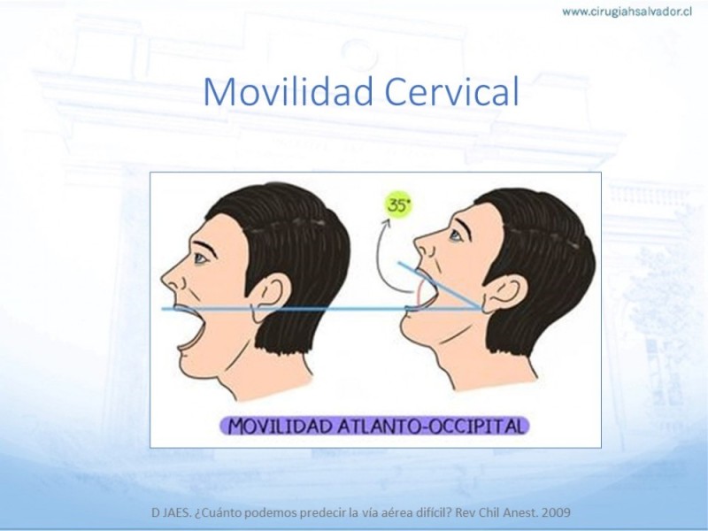 Diapositiva 14 de Manejo de Vía Aérea. Evaluación, Dispositivos y Algoritmos DAS