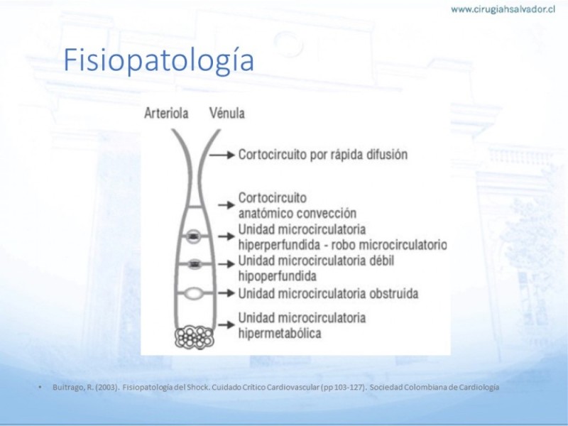 Diapositiva 12 de Generalidades  del Shock