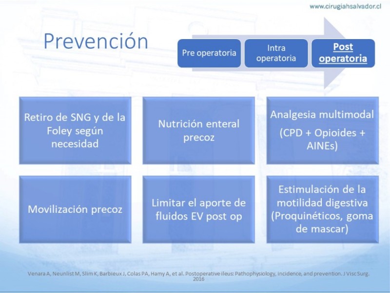 Diapositiva 22 de Íleo Post Operatorio