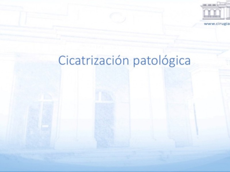 Diapositiva 11 de Cicatrización normal y patológica