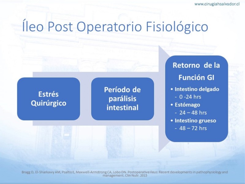 Diapositiva 3 de Íleo Post Operatorio