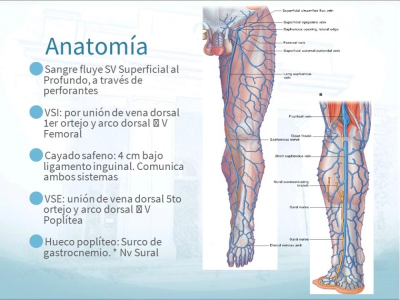 Diapositiva 9 de Insuficiencia Venosa Crónica