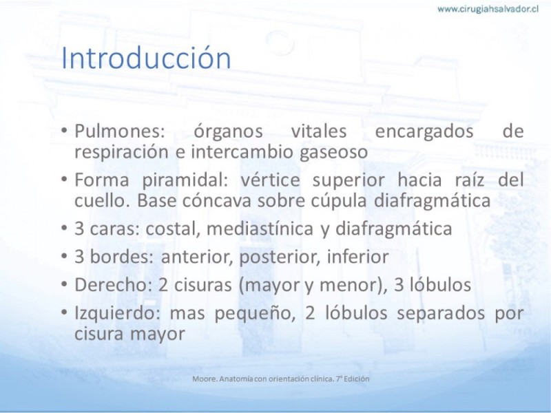 Diapositiva 1 de Anatomía Quirúrgica: Pulmón y Bronquios