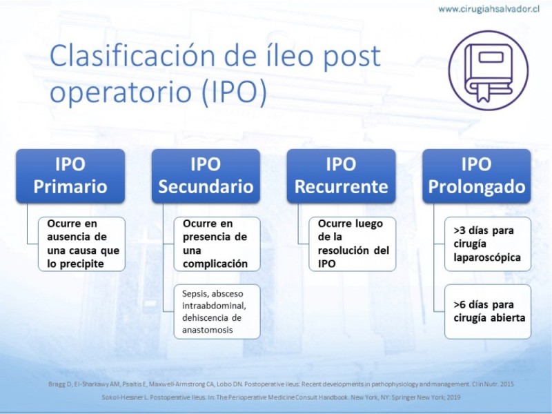 Diapositiva 4 de Íleo Post Operatorio