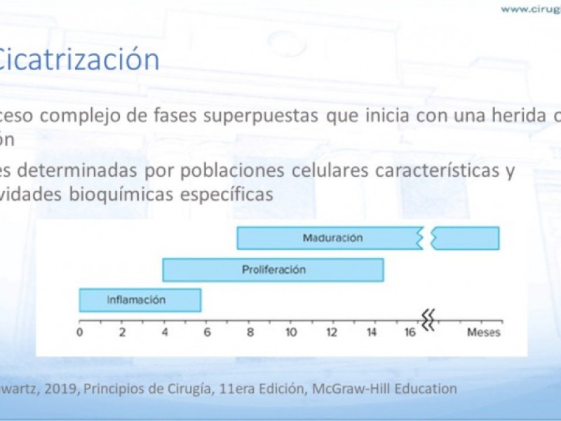 Diapositiva 1 de Cicatrización normal y patológica