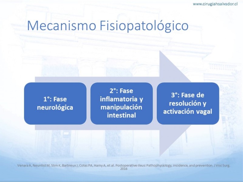 Diapositiva 5 de Íleo Post Operatorio