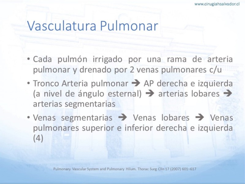 Diapositiva 9 de Anatomía Quirúrgica: Pulmón y Bronquios