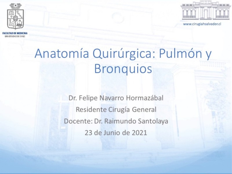 Diapositiva 21 de Anatomía Quirúrgica: Pulmón y Bronquios