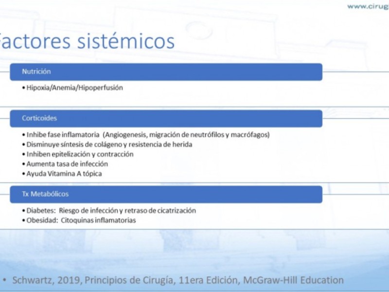 Diapositiva 13 de Cicatrización normal y patológica