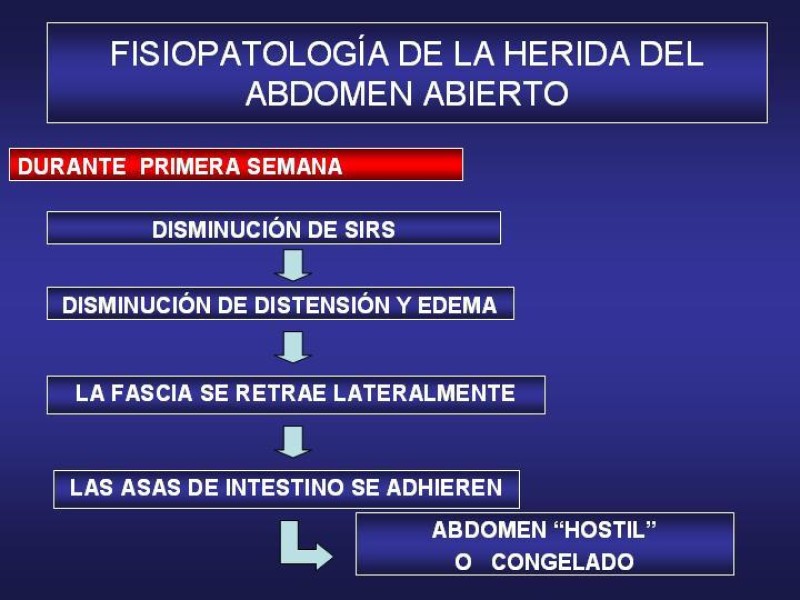 Diapositiva 10 de El Sistema VAC en la laparotomía contenida