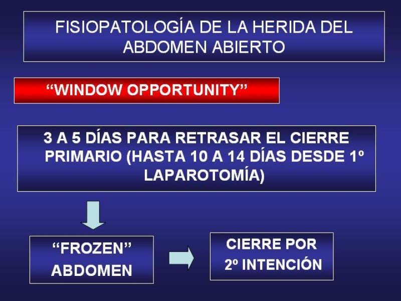 Diapositiva 11 de El Sistema VAC en la laparotomía contenida