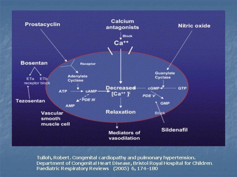 Diapositiva 27 de Drogas vasoactivas 