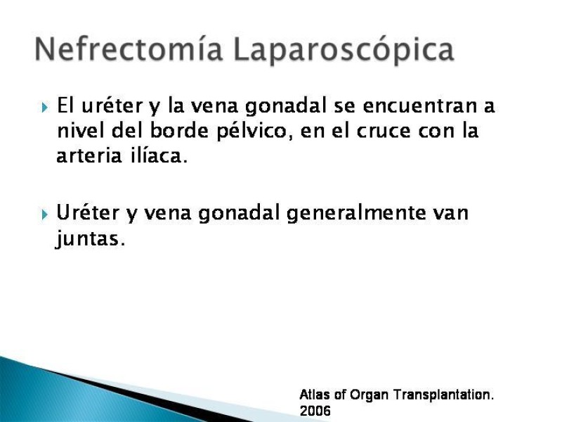 Diapositiva 64 de Técnica de procuramiento renal