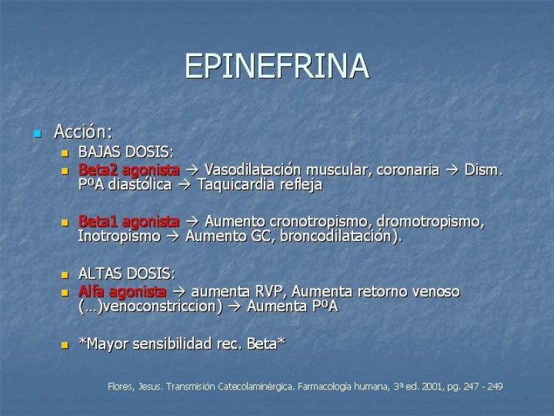 Diapositiva 16 de Drogas vasoactivas 