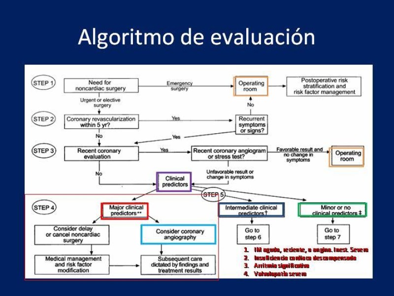 Diapositiva 15 de Evaluación Preoperatoria del Paciente Candidato a Cirugía Vascular Mayor
