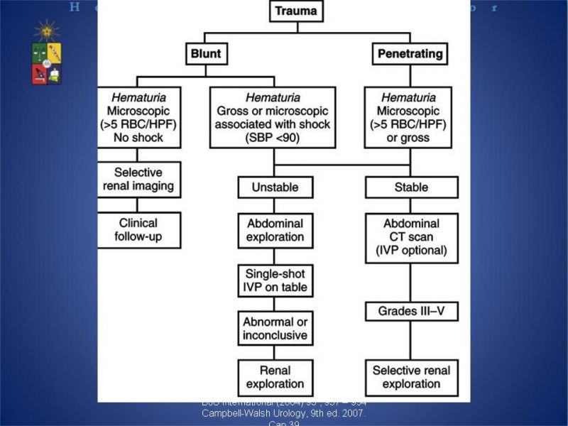 Diapositiva 12 de Trauma Renal
