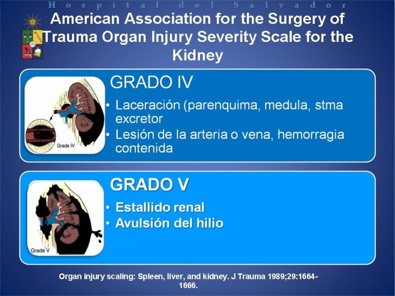 Diapositiva 7 de Trauma Renal