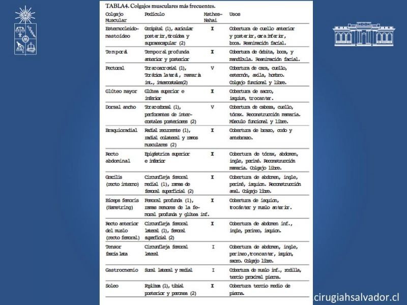 Diapositiva 22 de Colgajos