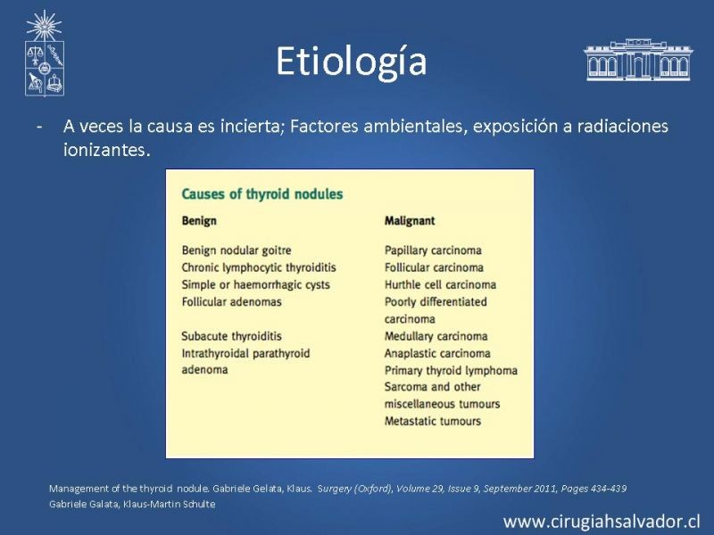 Diapositiva 3 de Nódulo Tiroideo