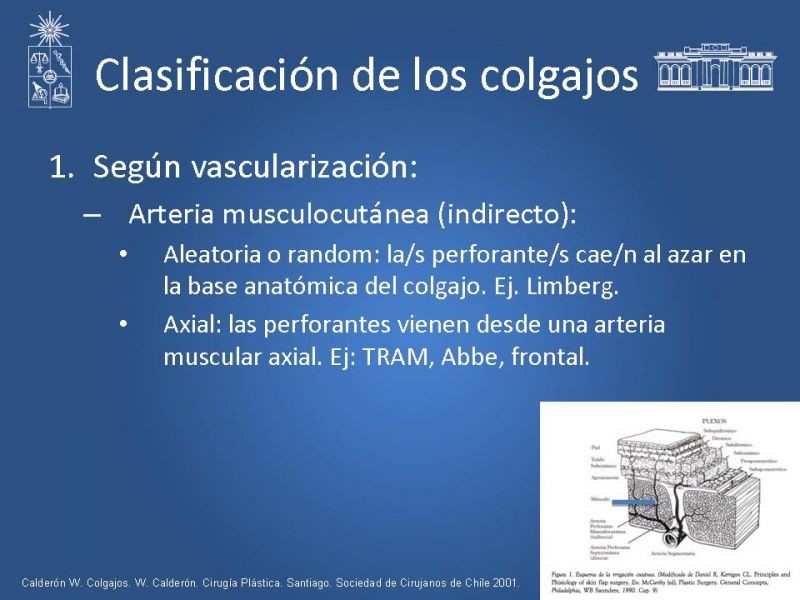Diapositiva 6 de Colgajos