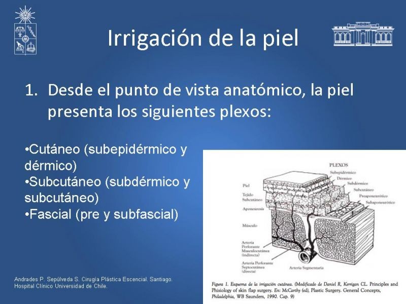 Diapositiva 2 de Colgajos